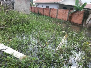 casa abandonada vira foco da Dengue capa