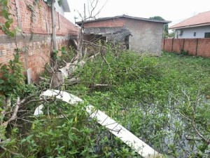 casa abandonada vira foco da Dengue13