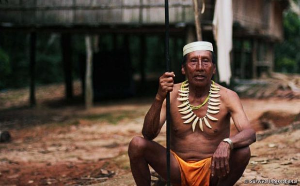Muitos Matsés contatados expressaram sua oposição a quaisquer tentativas de contatar seus vizinhos indígenas isolados, ou de explorar petróleo em seu território.
