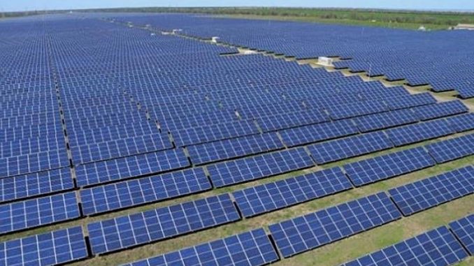 São 930 mil painéis solares distribuídos em 690 mil hectares.