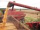 Previsão da safra de cereais, leguminosas e oleaginosas caiu 0,8%, indo para 228,1 milhões de toneladas     (Arquivo/Agência Brasil)