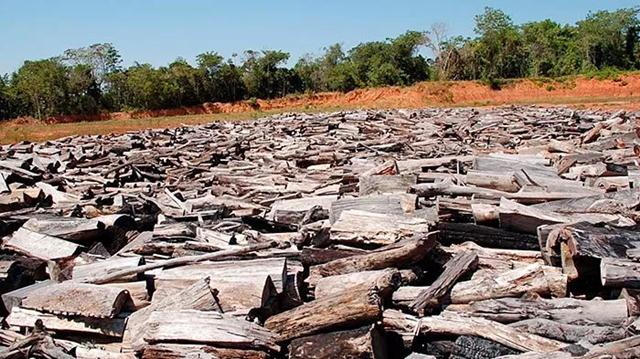 Rio Cravari, que passa na Terra Indígena Manoki, teve o leito desviado com adubos químicos – Foto: ALMT