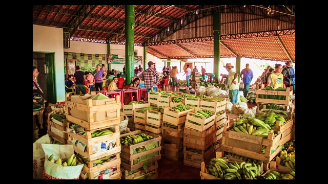 Cláudia de Jesus pede do governo estadual avanços na economia solidária de Rondônia