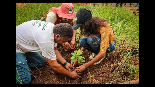 MST refloresta área de assentamento na região do Vale do Rio Doce