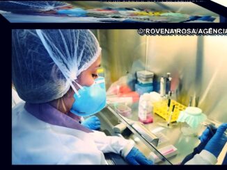 Vacina contra Zika avança com testes em camundongos