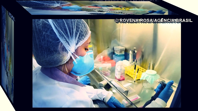 USP vacina Zika pesquisa Vacina contra Zika avança com testes em camundongos