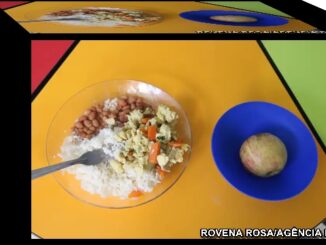 Relatório da ONU indica Brasil fora do Mapa da Fome
