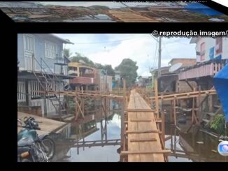 Cheias no Amazonas deixam 40 municípios em estado de emergência