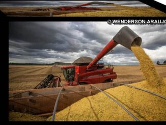 Produção de grãos deve crescer 14% e chegar a 340 milhões de toneladas