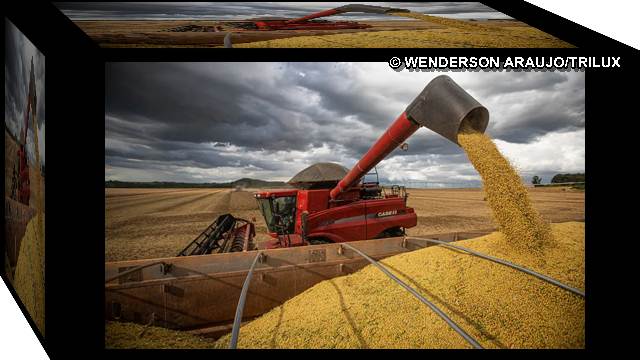 safra agricola crescimento Produção de grãos deve crescer 14% e chegar a 340 milhões de toneladas