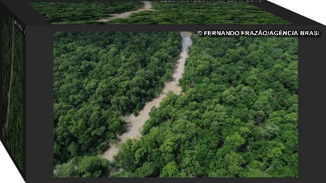 bnds reflorestamento amazonia