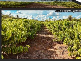 Objetivo da deputada CLáudia de Jesus é de ampliar a produtividade agrícola e apoiar o trabalho dos pequenos produtores.
