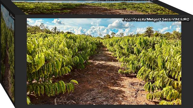 claudia agricultura familiar Objetivo da deputada CLáudia de Jesus é de ampliar a produtividade agrícola e apoiar o trabalho dos pequenos produtores.