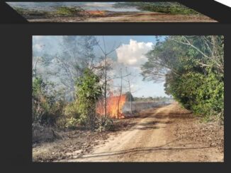 Investigada denúncias de intimidação contra povo Puruborá em Rondônia