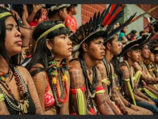 Assembleia debate Política de Saúde Indígena proposta pela deputada Cláudia de Jesus